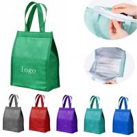 Insulated Hot / Cold Cooler Tote Bag